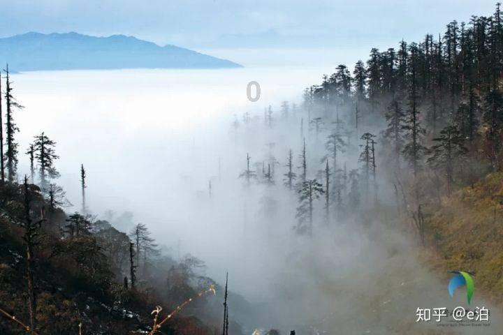 杜甫的另一个身份:对联高手