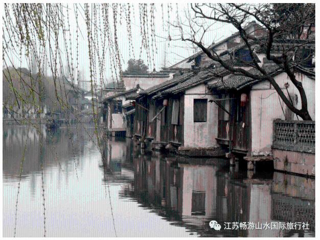 僵尸短跑